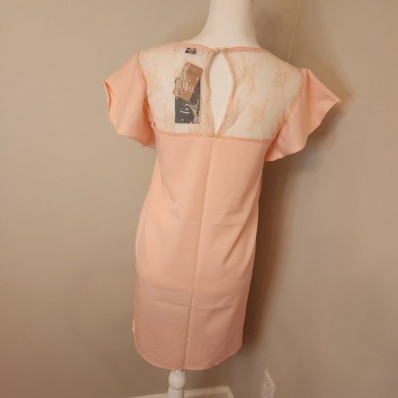 Peach Runway Paris Shift Dress - Picture 9 of 12